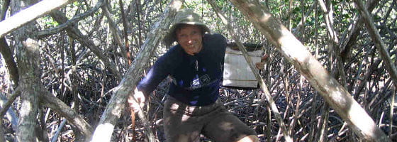 Helen in the mangroves