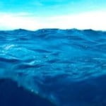 Wave_Header