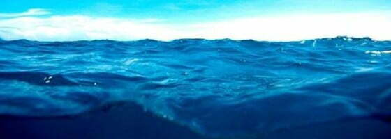 Wave_Header