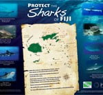 Fiji Shark Poster