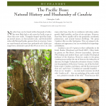 IRCF Reptiles & Amphibians, VOL15, NO 4, June 2012 Husbandry: The Pacific Boas: Natural History and Husbandry of Candoia Christopher Carille