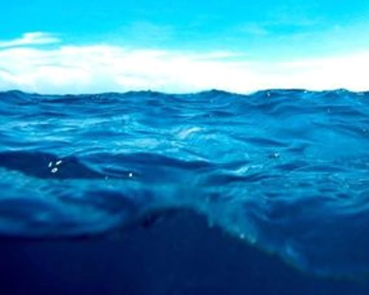 Marine Ecology Consulting - Fiji’s leading company for Coastal and ...